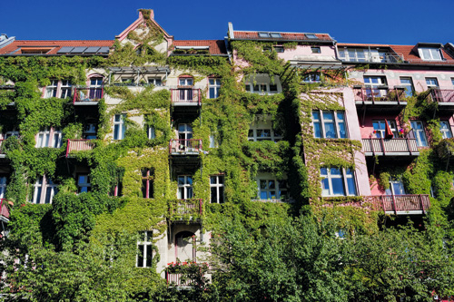 Hausfassade als vertikaler Garten