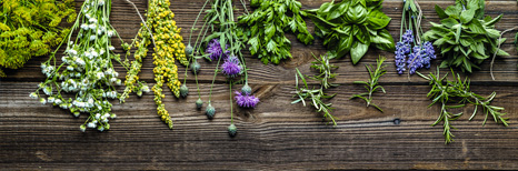 Gartenkräuter zum grillen