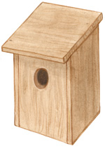 Starenkasten