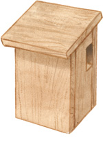Baumläuferkasten