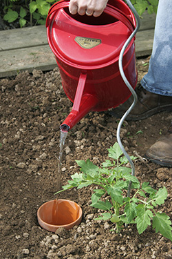 Tontopf für Gießwasser