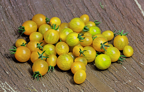 Johannisbeertomate