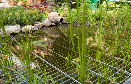 garten, teich