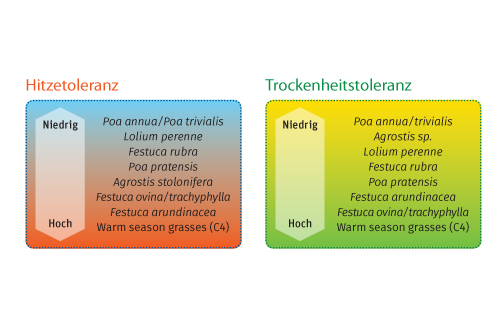 Hitze- Trockenheitstoleranz