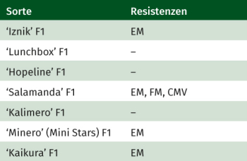 Gurken empfehlenswerte Sorten