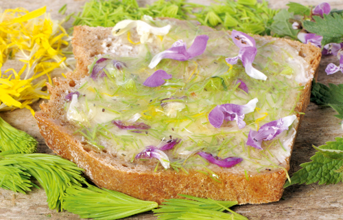 Honigbrot mit Taubnessel_Blüten