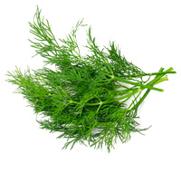 Dill