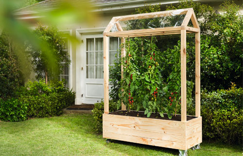 Tomatenhaus