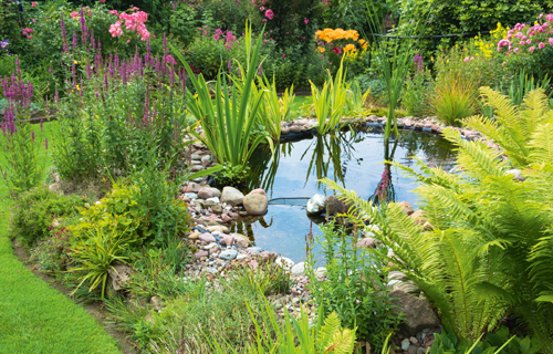 naturnaher Gartenteich