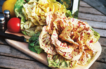 Radicchio ‘Variegato di Castel­franco’