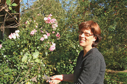 Zecken leben in Gebüschen