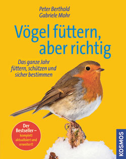 Vögel füttern, aber richtig