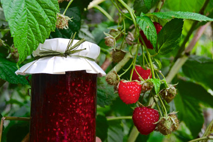 Sommerhimbeeren einkochen
