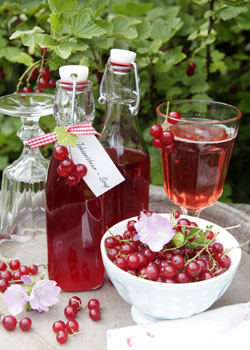 Johannisbeersirup
