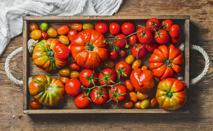 Selbst geerntete Tomaten