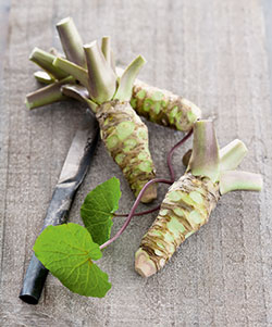 Wasabi